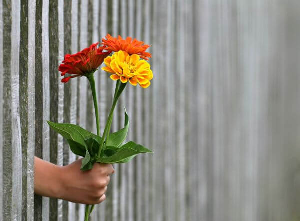 Welches Datum ist dieses Jahr der Valentinstag?